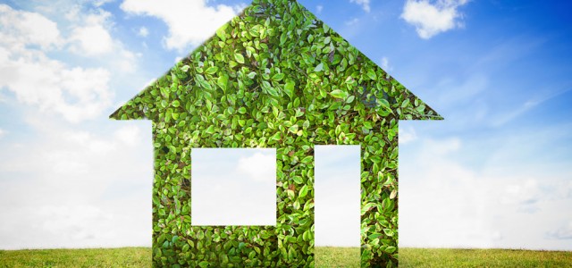 Your roof can help the enviroment